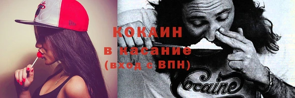хмурый Новозыбков