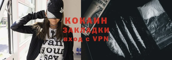 хмурый Новозыбков
