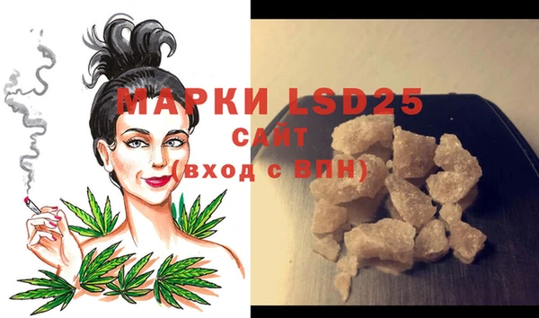 хмурый Новозыбков