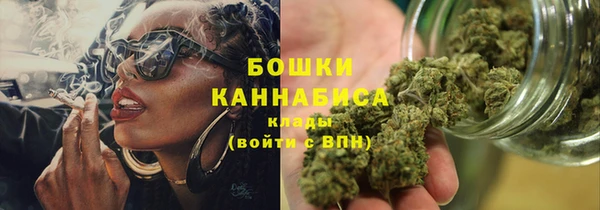 хмурый Новозыбков