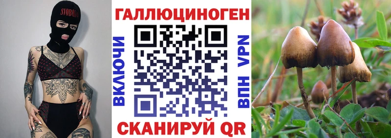 Псилоцибиновые грибы Psilocybine cubensis  купить наркотик  мега ссылка  Торжок 