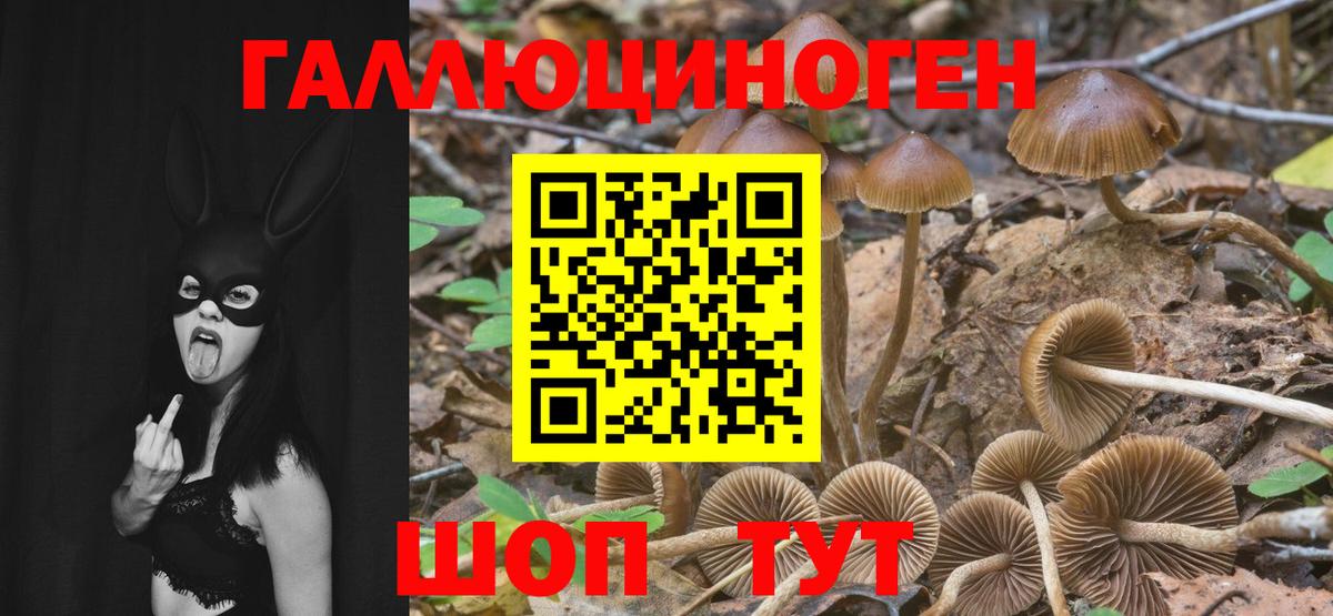 Галлюциногенные грибы MAGIC MUSHROOMS Торжок