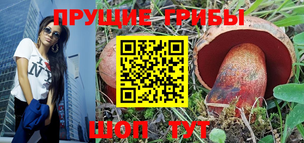 Псилоцибиновые грибы Psilocybe  Псилоцибиновые грибы Psilocybe  сколько стоит  Вход с VPN  Торжок 